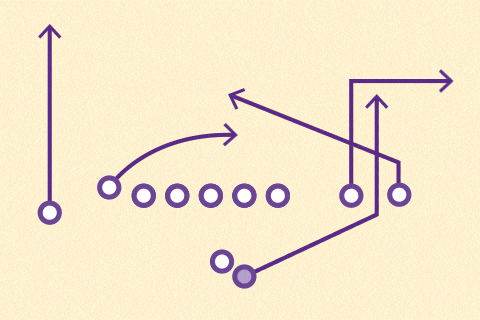 nfl playbook